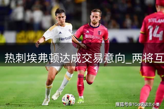 热刺埃弗顿达成交易意向 两将互换或成定局